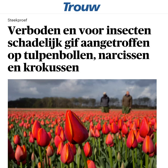 PAN NL en Sprinklr vinden verboden middelen op bloembollen