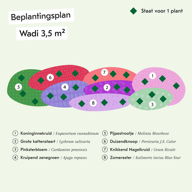 Beplantingsplan voor Wadipakket van 3,5 vierkante meter