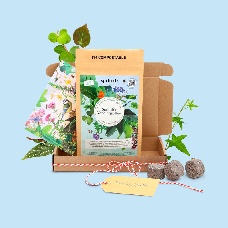 brievenbuscadeau, doosje met zak voedingspillen voor kamerplanten