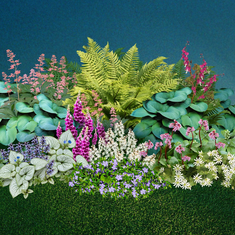 Collage van planten met paarse, roze en witte bloemen