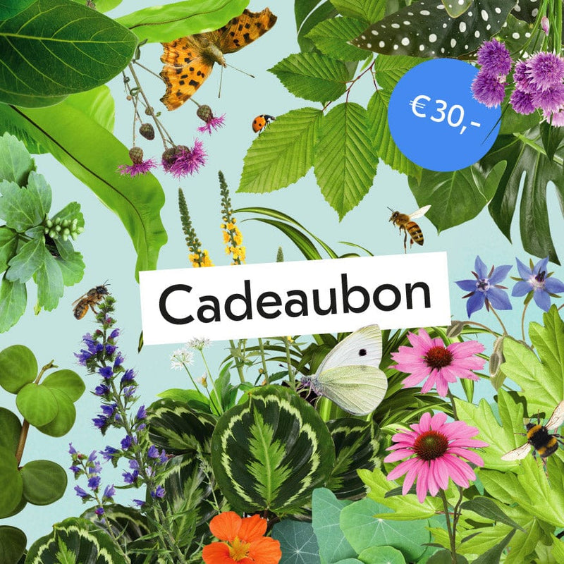 collage van planten en tekst cadeaubon met bedrag 30 euro