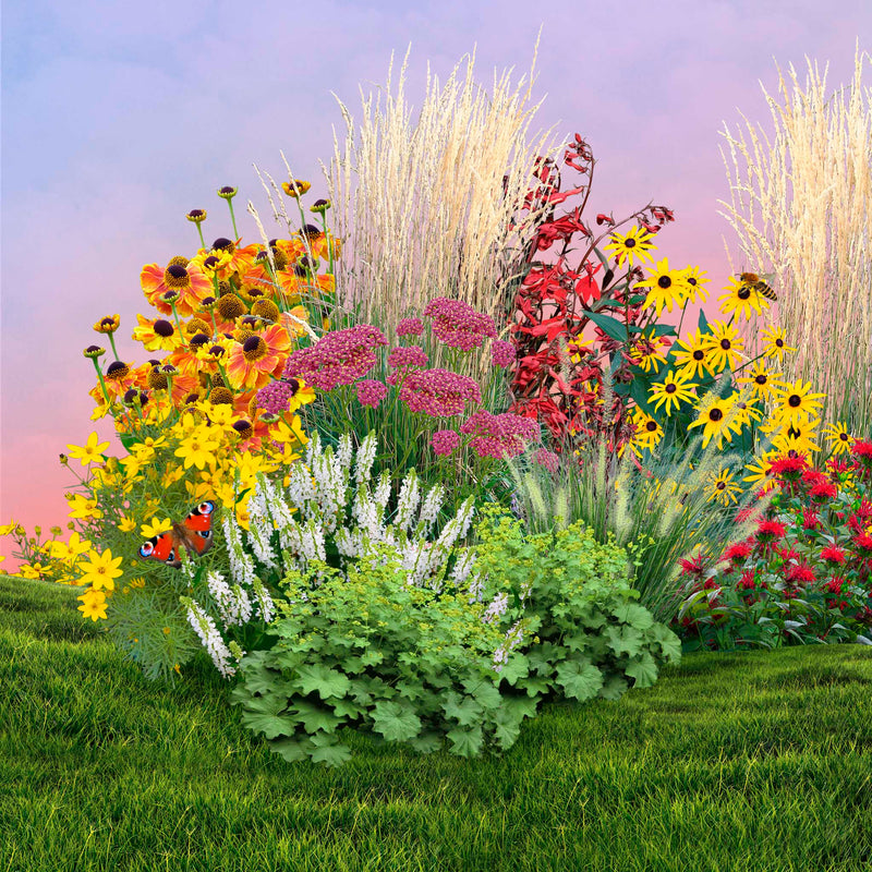 Collage van pakket Vurig, collectie van planten met gele, rode en oranje bloemen
