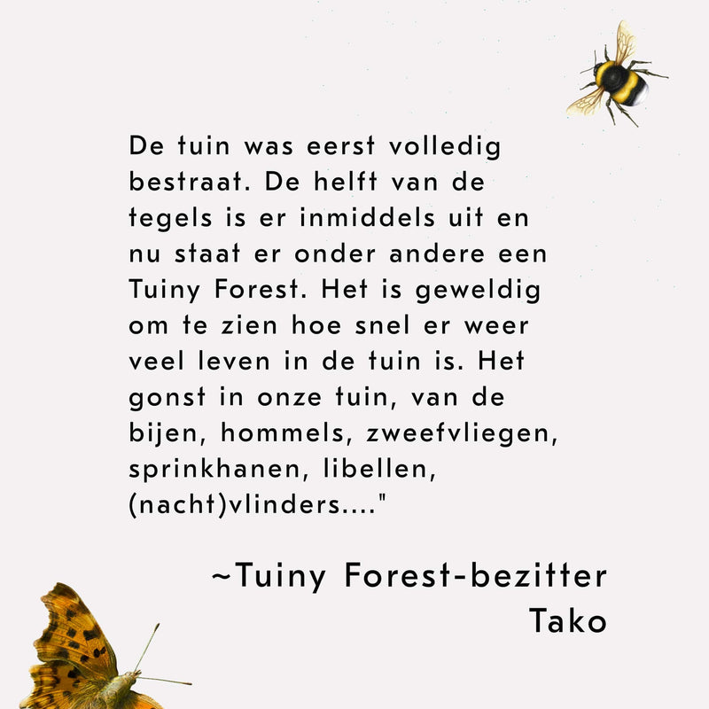 Tuiny Forest